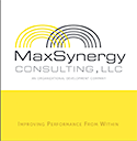 MaxSynergy Consulting Brochure (download)
